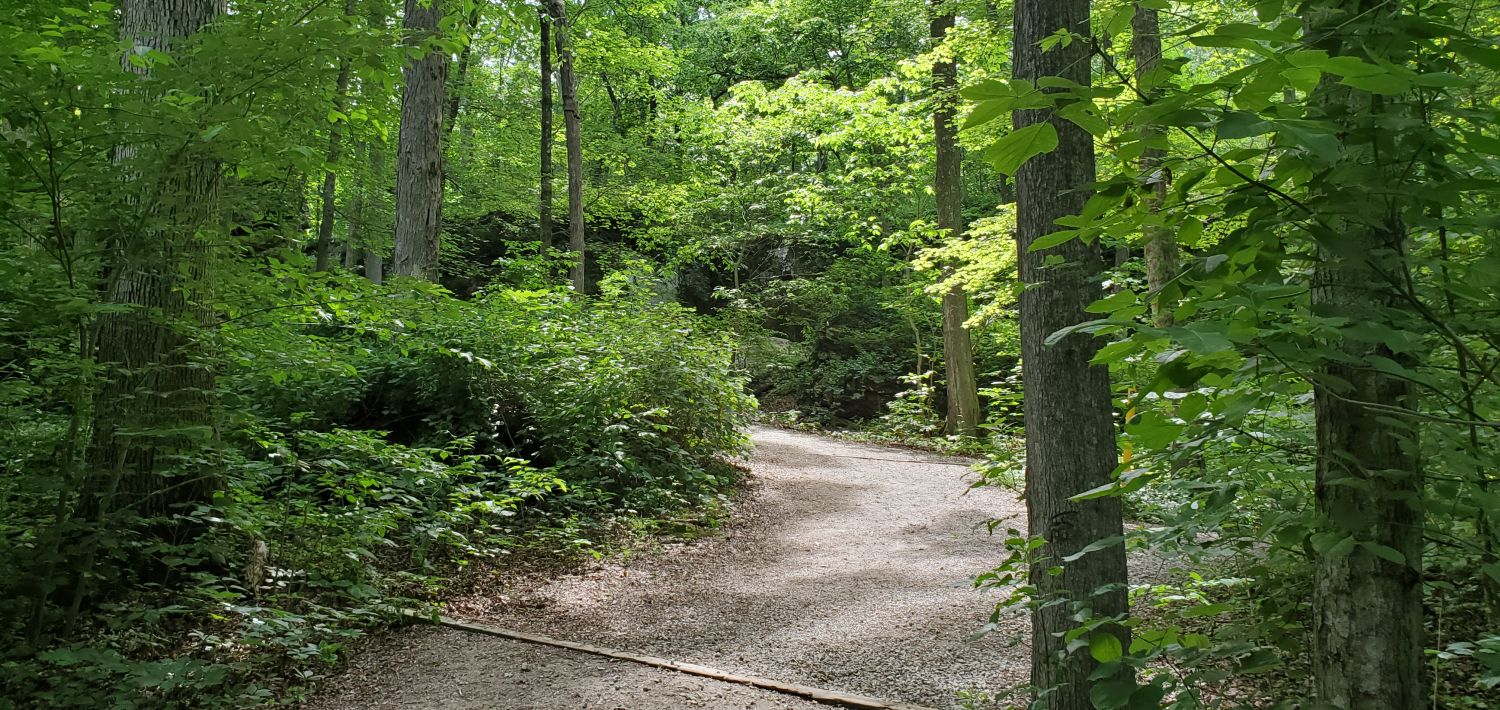 Giant City SP - Giant City Nature Trail 